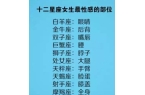 天秤提升感情运势（如何和天秤相处）尊龙A